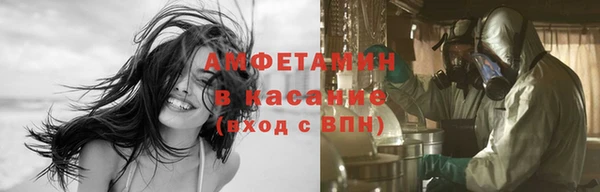 сатива Новокубанск