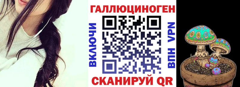 Галлюциногенные грибы Psilocybine cubensis Реж