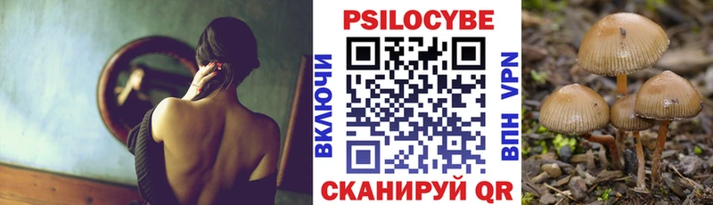 Галлюциногенные грибы Cubensis  omg зеркало  Реж 