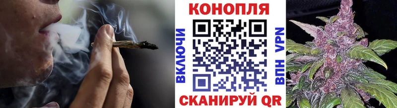 наркотики  Реж  Бошки марихуана сатива 